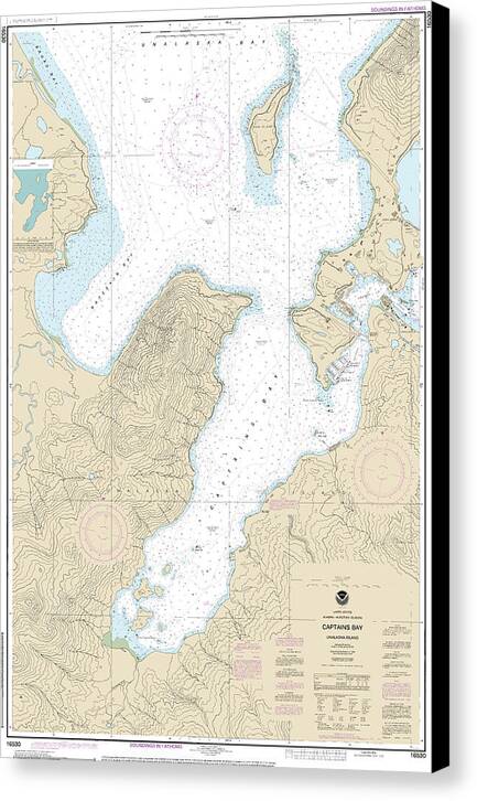 Nautical Chart-16530 Captains Bay - Canvas Print