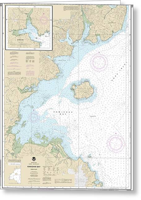 Nautical Chart-16648 Kamishak Bay, Lliamna Bay - Greeting Card