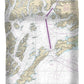 Nautical Chart-16700 Prince William Sound - Duvet Cover