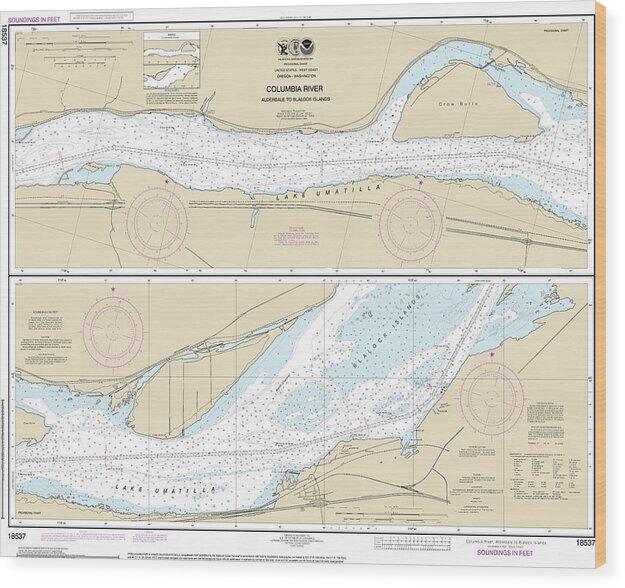 Nautical Chart-18537 Columbia River Alderdale-blalock Islands - Wood Print