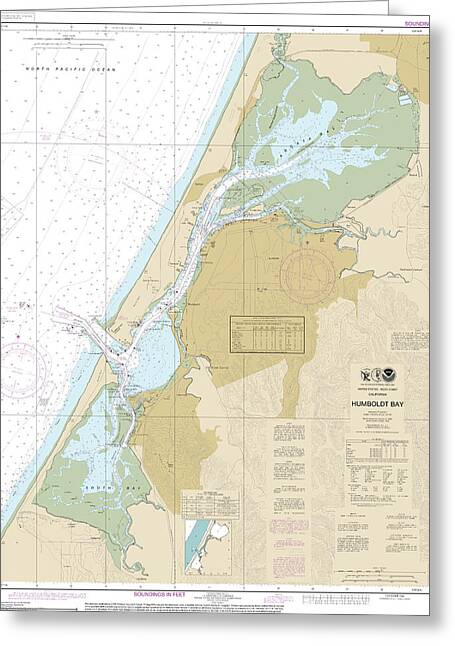 Nautical Chart-18622 Humboldt Bay - Greeting Card