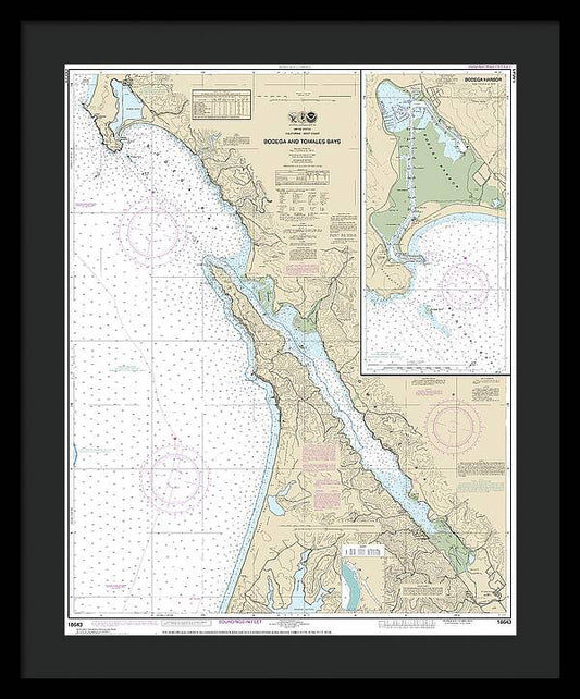 Nautical Chart-18643 Bodega-tomales Bays, Bodega Harbor - Framed Print