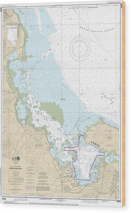 Nautical Chart-19359 Oahu East Coast Kaneohe Bay - Wood Print