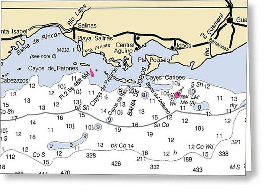 Salinas-puerto Rico Nautical Chart - Greeting Card