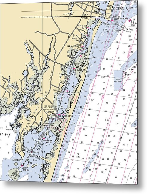 Sinepuxent-maryland Nautical Chart - Metal Print