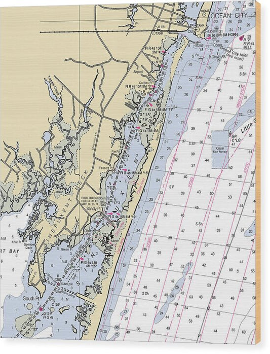 Sinepuxent-maryland Nautical Chart - Wood Print