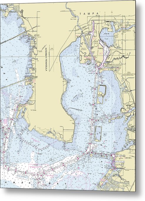 Tampa Florida Nautical Chart - Metal Print