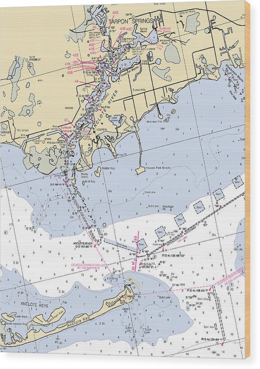 Tarpon Springs-Florida Nautical Chart Wood Print