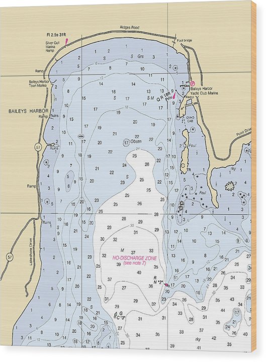 Baileys Harbor-Lake Michigan Nautical Chart Wood Print