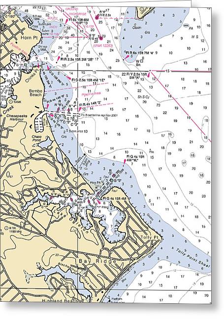 Bay Ridge-maryland Nautical Chart - Greeting Card