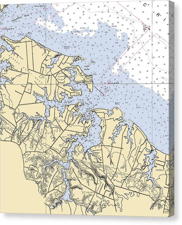 Coan River-Virginia Nautical Chart Canvas Print