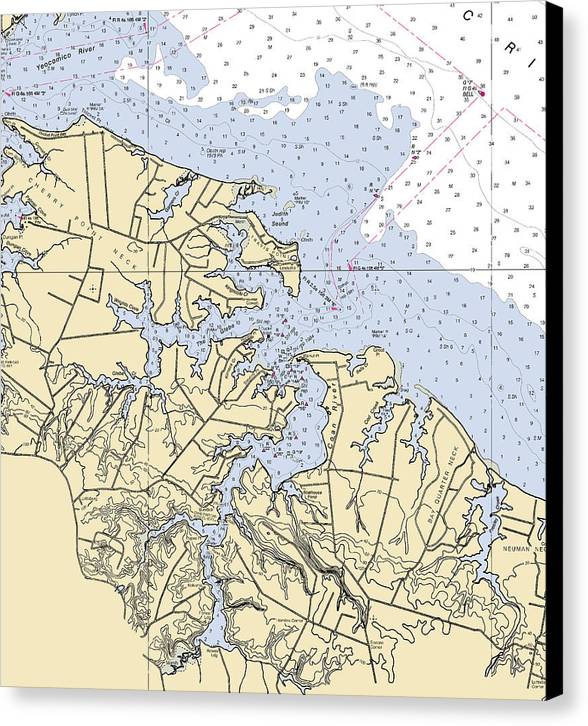 Coan River-virginia Nautical Chart - Canvas Print