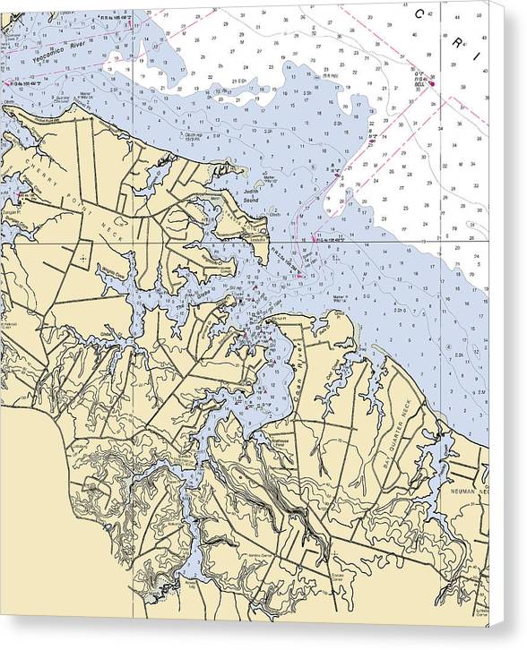 Coan River-virginia Nautical Chart - Canvas Print