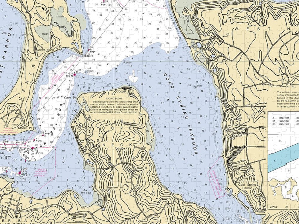 Cold Spring Harbor New York Nautical Chart Puzzle