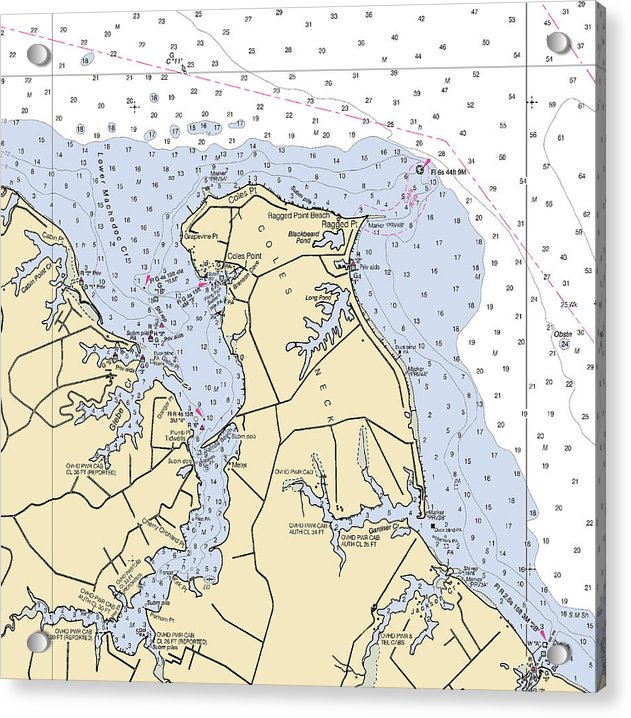 Coles Neck-virginia Nautical Chart - Acrylic Print