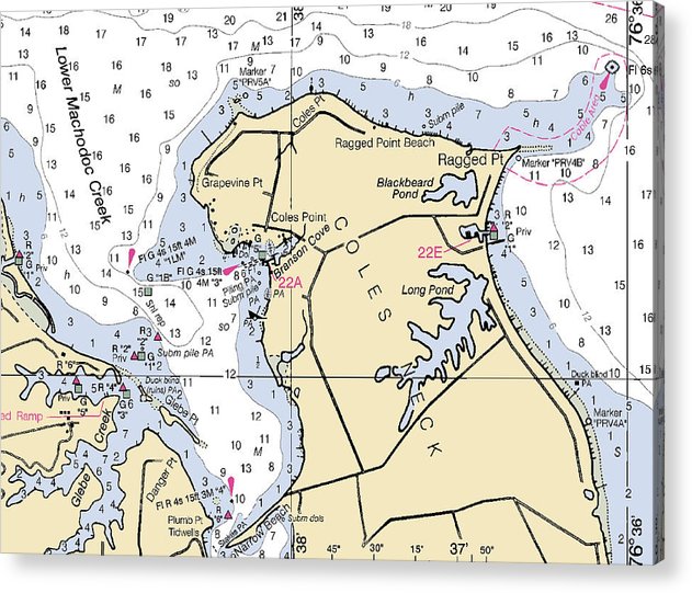 Coles Neck -Virginia Nautical Chart _V2  Acrylic Print