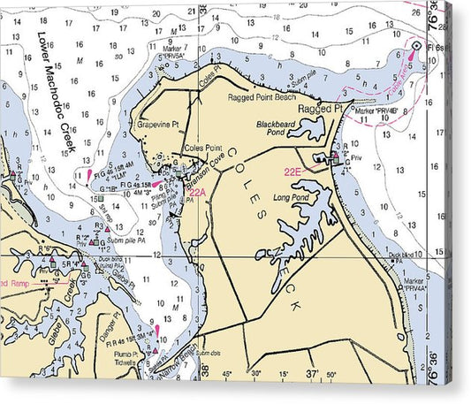 Coles Neck -Virginia Nautical Chart _V2  Acrylic Print