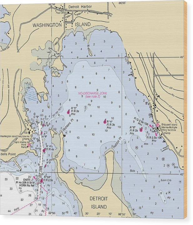 Detroit Harbor-Lake Michigan Nautical Chart Wood Print