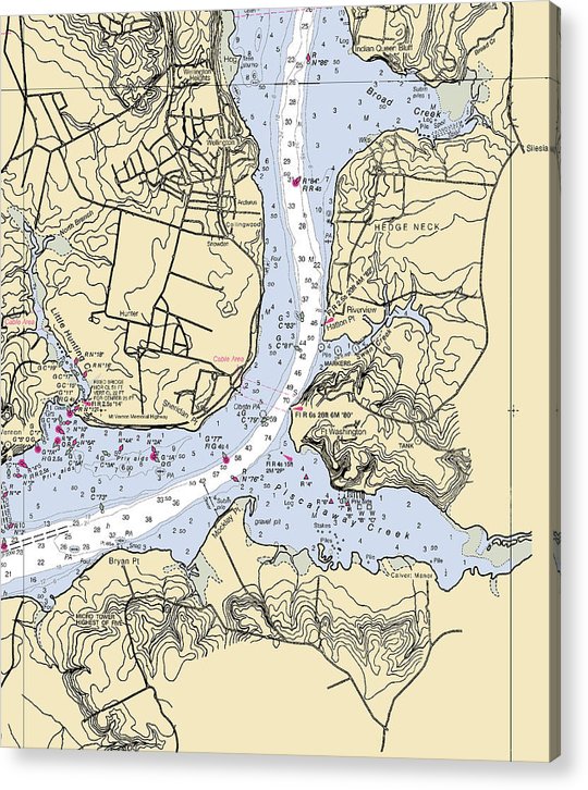 Hedge Neck-Maryland Nautical Chart  Acrylic Print