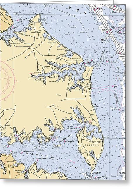 Hog Neck-maryland Nautical Chart - Greeting Card