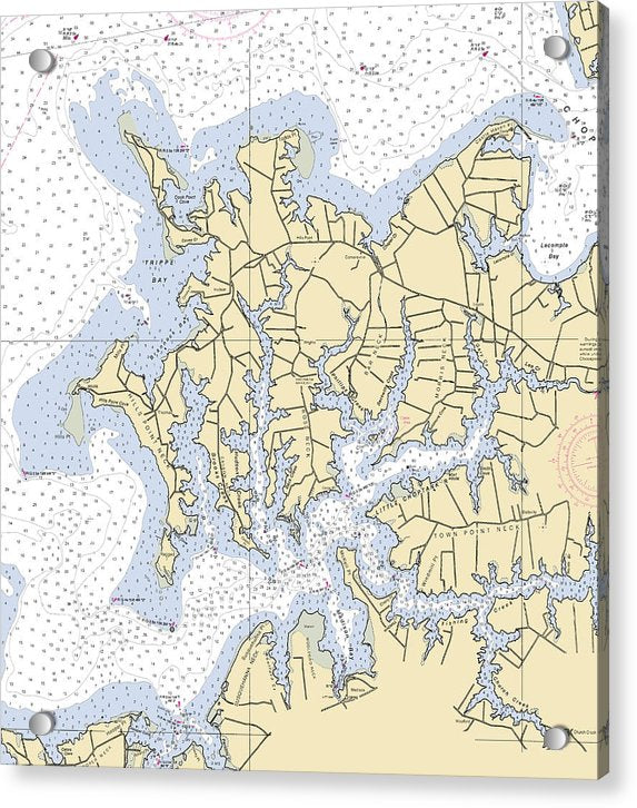 Little Choptank River -maryland Nautical Chart _v2 - Acrylic Print