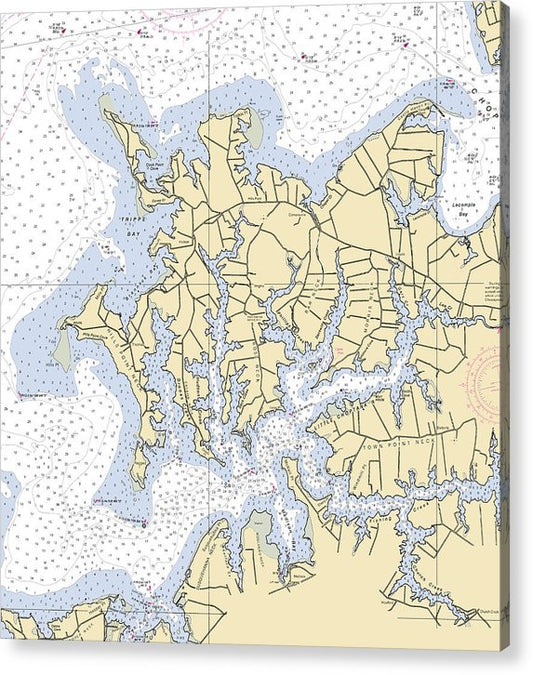 Little Choptank River -Maryland Nautical Chart _V2  Acrylic Print