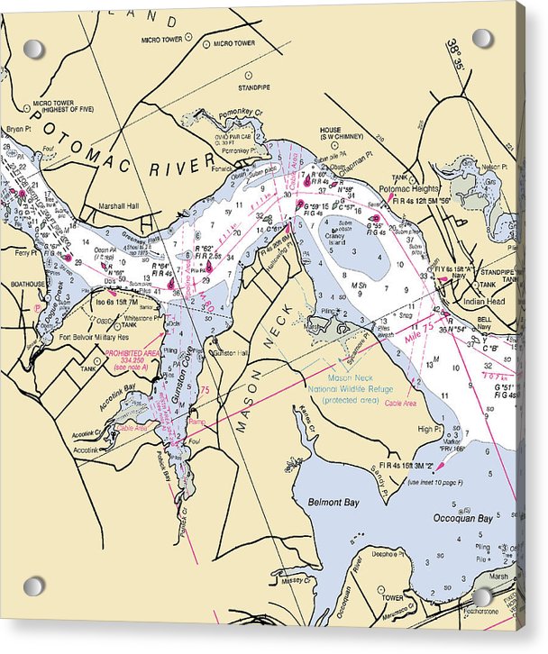 Mason Neck -virginia Nautical Chart _v3 - Acrylic Print