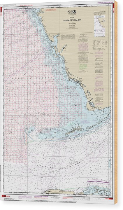 Nautical Chart-1113A Havana-Tampa Bay (Oil-Gas Leasing Areas) Wood Print