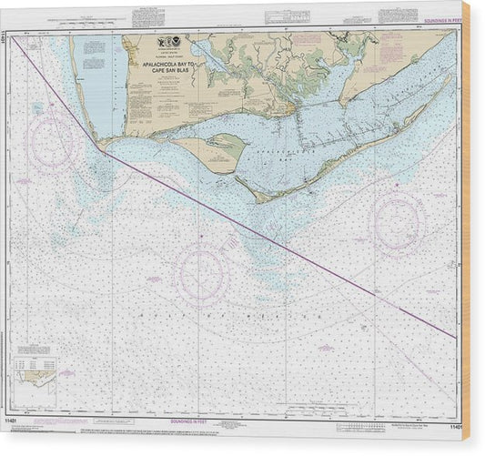 Nautical Chart-11401 Apalachicola Bay-Cape San Blas Wood Print