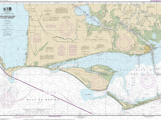 Nautical Chart 11402 Intracoastal Waterway Apalachicola Bay Lake Wimico Puzzle
