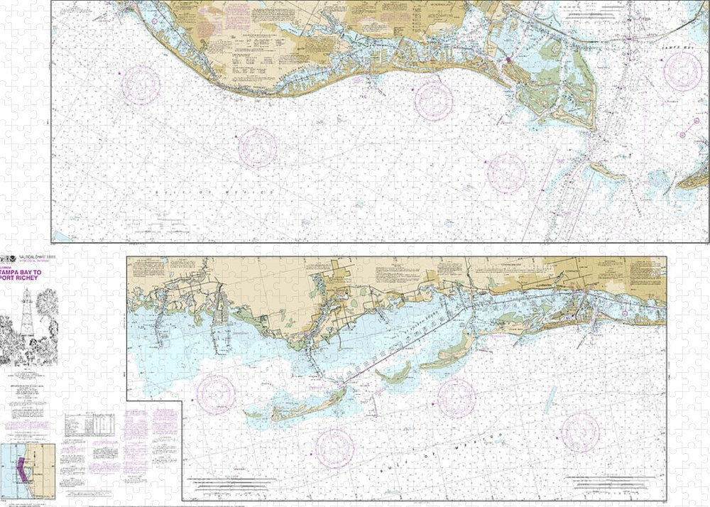 Nautical Chart-11411 Intracoastal Waterway Tampa Bay-port Richey - Puzzle