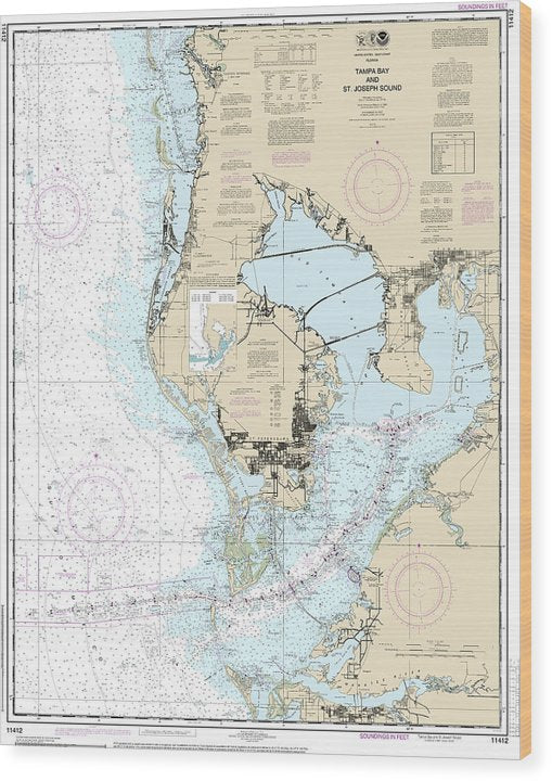 Nautical Chart-11412 Tampa Bay-St Joseph Sound Wood Print