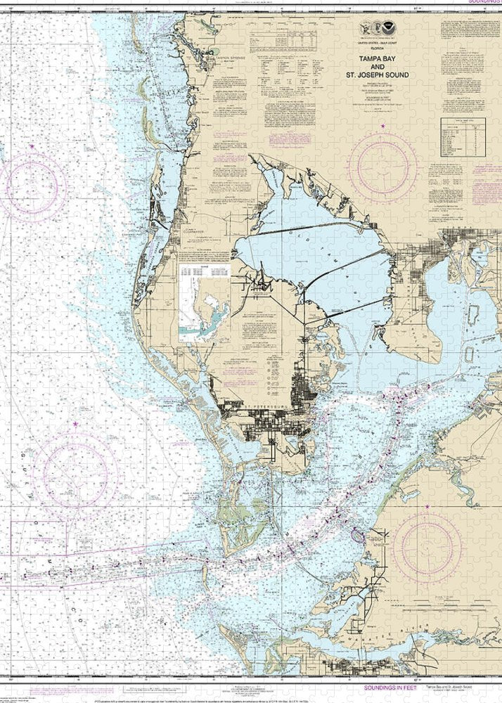 Nautical Chart-11412 Tampa Bay-st Joseph Sound - Puzzle