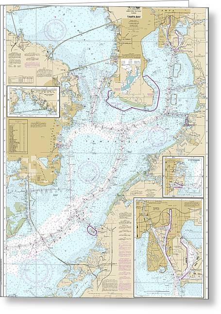 Nautical Chart-11416 Tampa Bay, Safety Harbor, St Petersburg, Tampa - Greeting Card