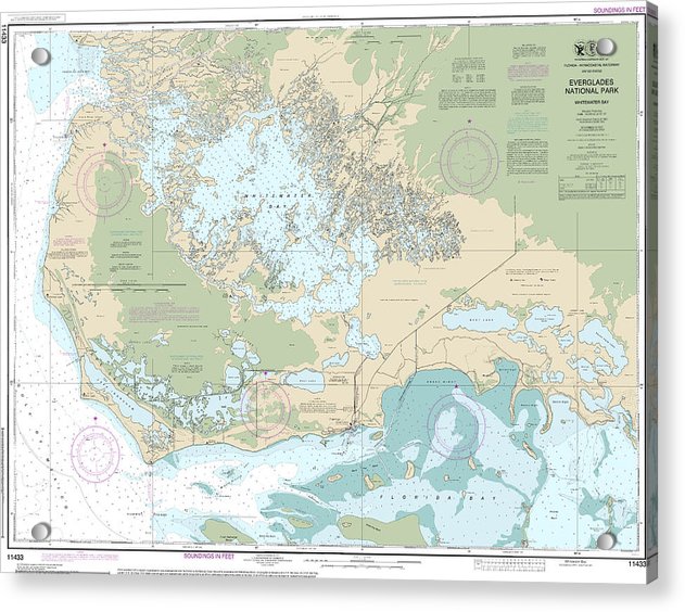 Nautical Chart-11433 Everglades National Park Whitewater Bay - Acrylic Print