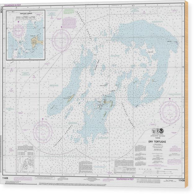 Nautical Chart-11438 Dry Tortugas, Tortugas Harbor Wood Print