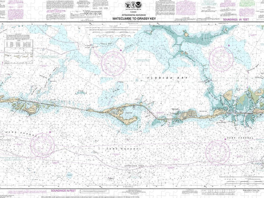 Nautical Chart 11449 Intracoastal Waterway Matecumbe Grassy Key Puzzle