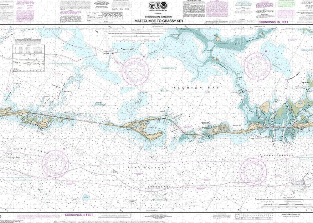 Nautical Chart-11449 Intracoastal Waterway Matecumbe-grassy Key - Puzzle