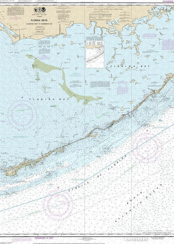 Nautical Chart-11452 Intracoastal Waterway Alligator Reef-sombrero Key - Puzzle