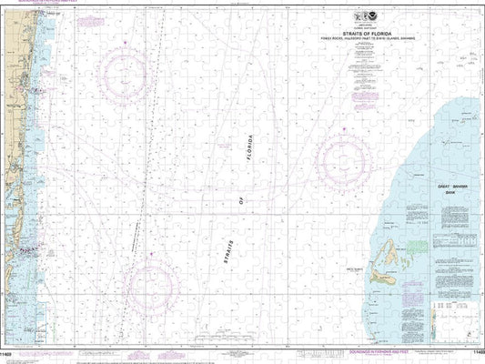 Nautical Chart 11469 Straits Florida Fowey Rocks, Hillsboro Inlet Bimini Islands, Bahamas Puzzle
