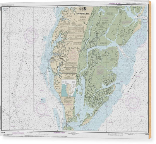 Nautical Chart-12224 Chesapeake Bay Cape Charles-Wolf Trap Wood Print