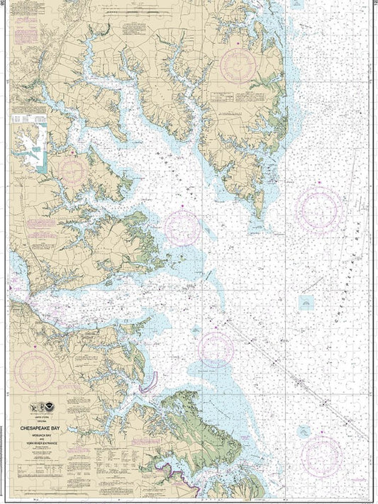 Nautical Chart 12238 Chesapeake Bay Mobjack Bay York River Entrance Puzzle