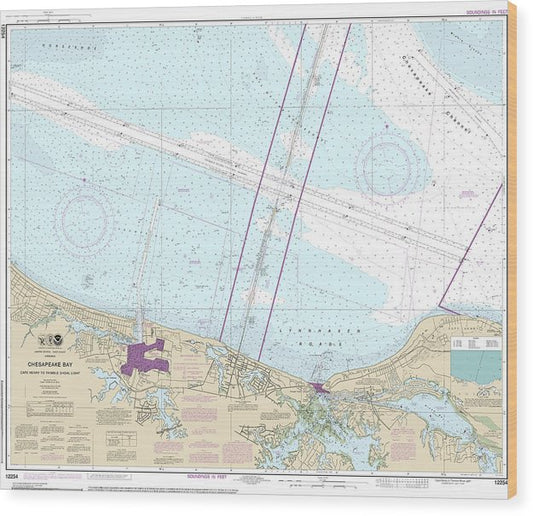 Nautical Chart-12254 Chesapeake Bay Cape Henry-Thimble Shoal Light Wood Print
