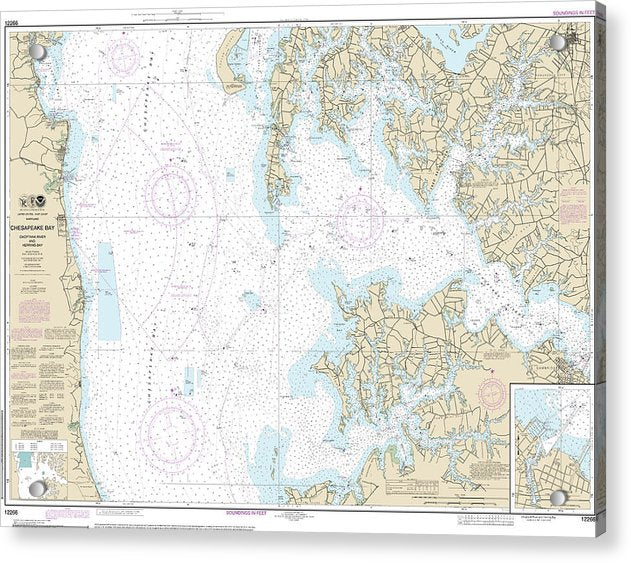 Nautical Chart-12266 Chesapeake Bay Choptank River-herring Bay, Cambridge - Acrylic Print