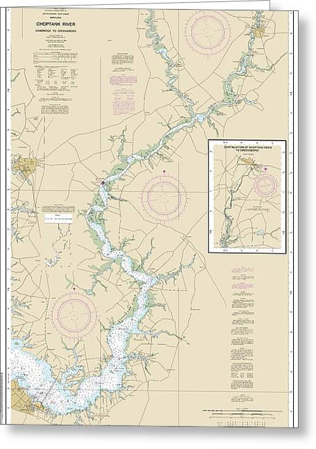 Nautical Chart-12268 Choptank River Cambridge-greensboro - Greeting Card