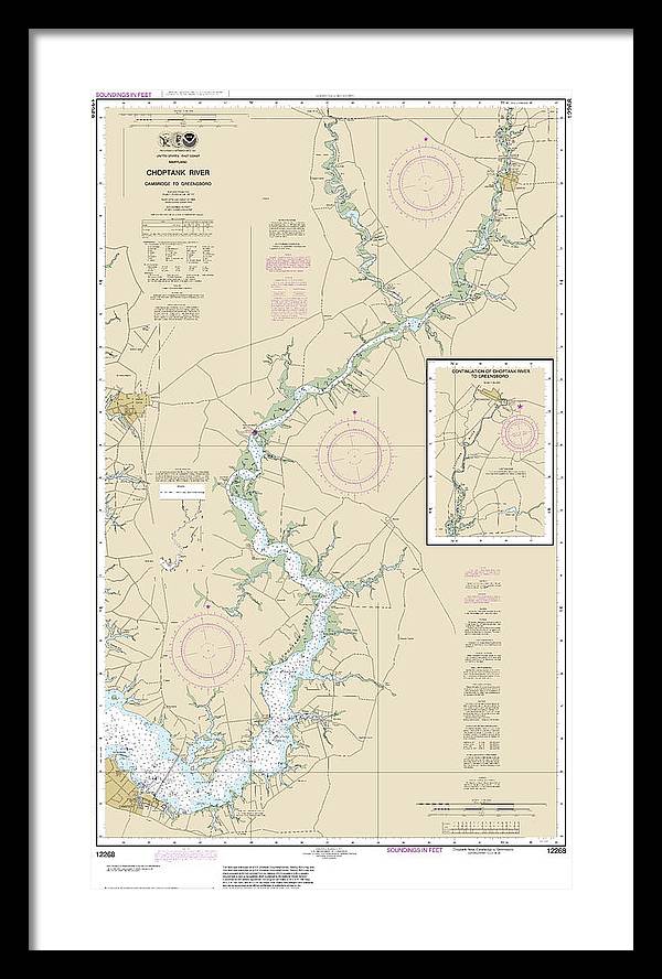 Nautical Chart-12268 Choptank River Cambridge-greensboro - Framed Print