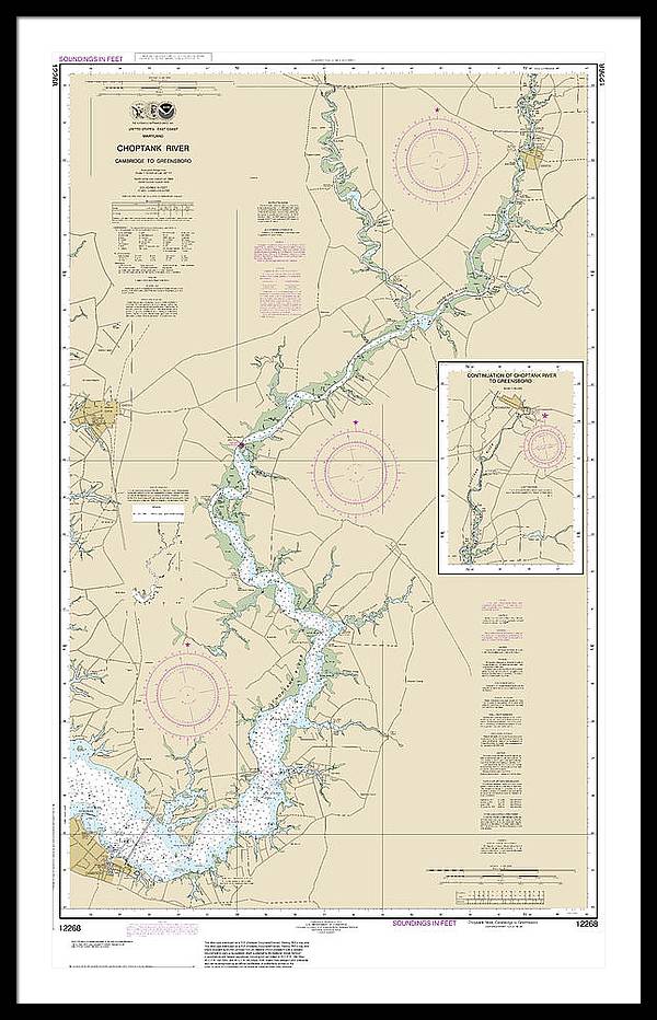 Nautical Chart-12268 Choptank River Cambridge-greensboro - Framed Print