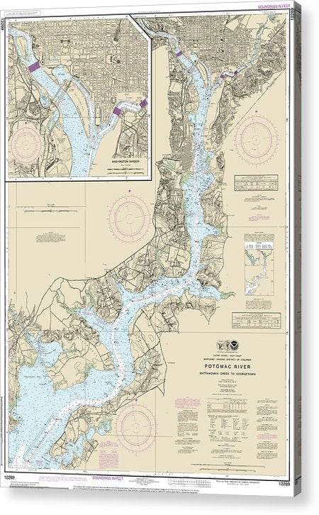 Nautical Chart-12289 Potomac River Mattawoman Creek-Georgetown, Washington Harbor  Acrylic Print