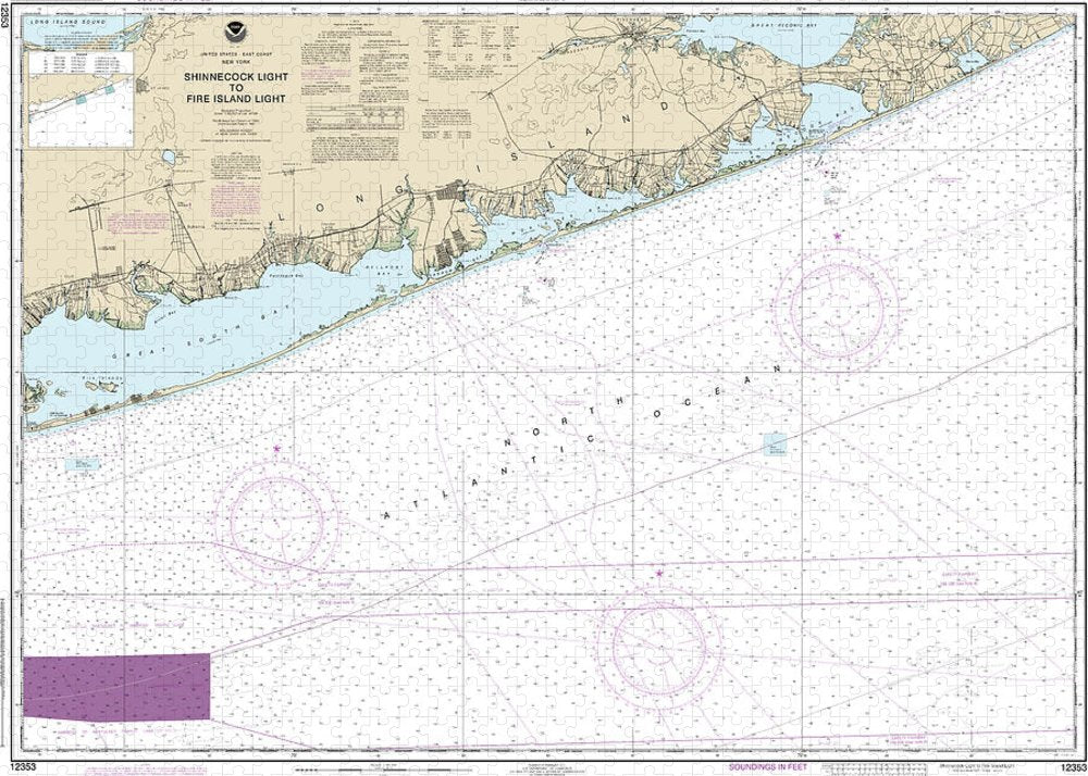 Nautical Chart-12353 Shinnecock Light-fire Island Light - Puzzle