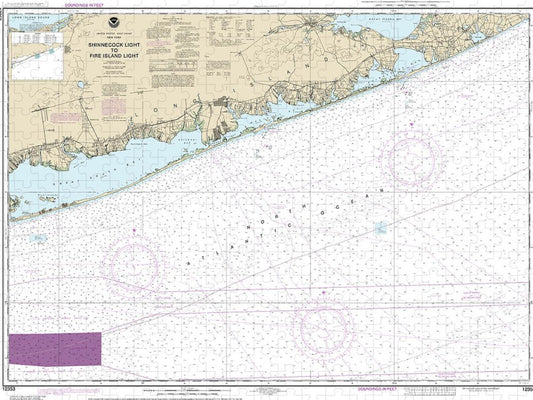 Nautical Chart 12353 Shinnecock Light Fire Island Light Puzzle